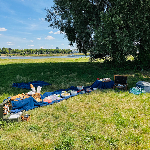 Düsseldorf-Fahrrad-Safari