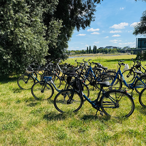Düsseldorf-Fahrrad-Safari